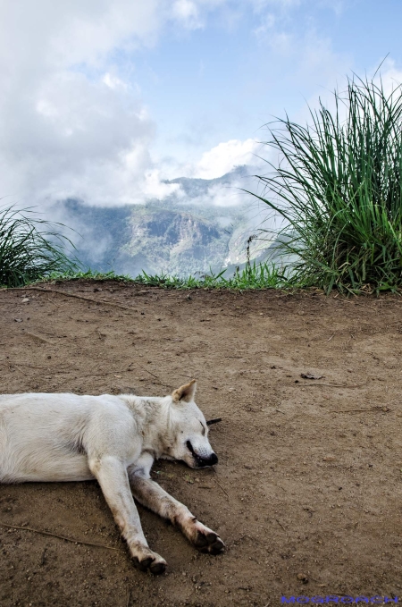 Sri Lanka