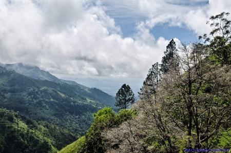 Sri Lanka