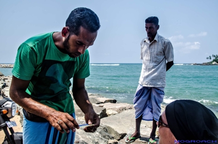 Sri Lanka