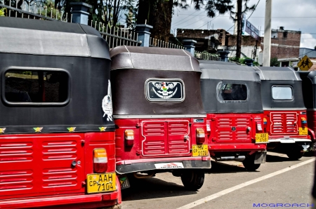 Sri Lanka