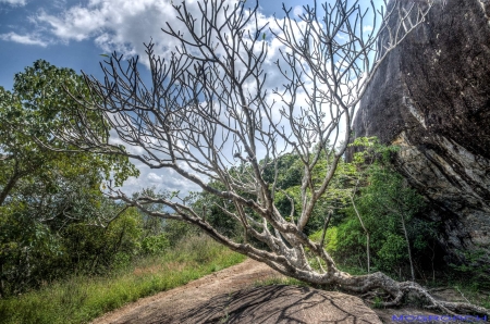 Sri Lanka