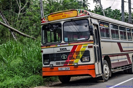 Sri Lanka