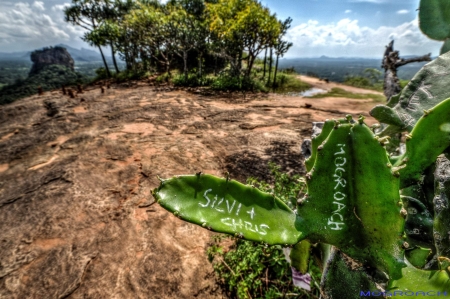 Sri Lanka