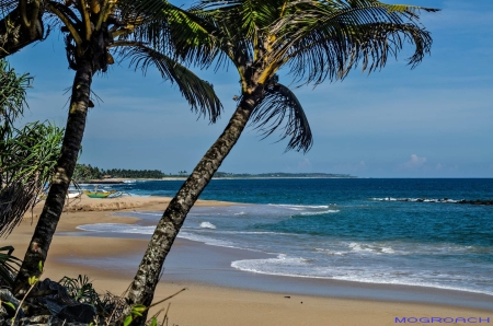 Sri Lanka