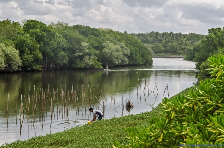 Sri Lanka