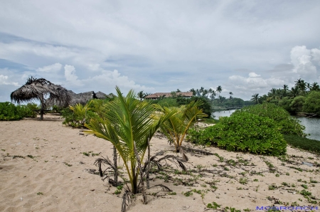 Sri Lanka