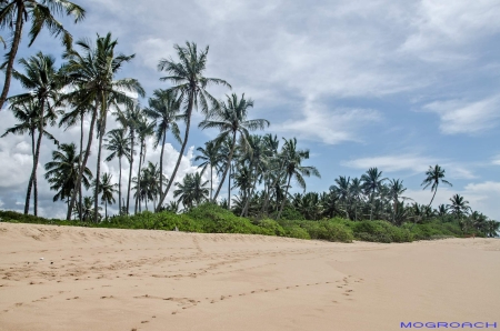 Sri Lanka