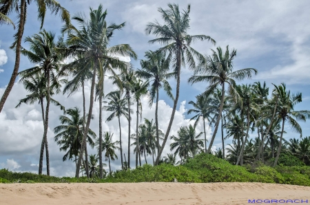 Sri Lanka