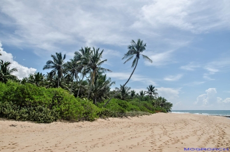 Sri Lanka