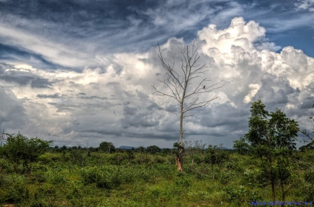 Sri Lanka