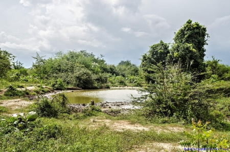 Sri Lanka