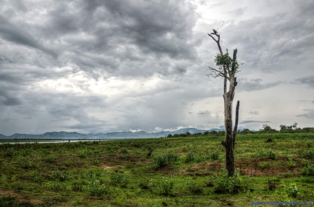 Sri Lanka