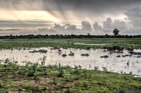 Sri Lanka