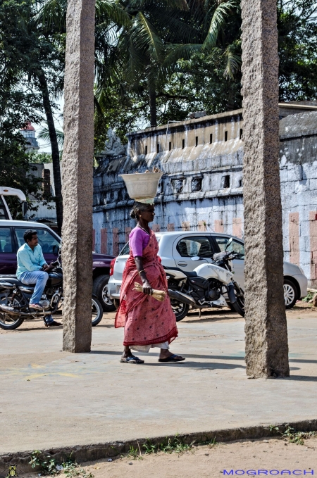 Tamil Nadu