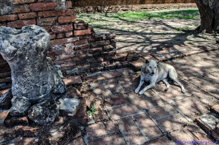 Ayutthaya, Thailand