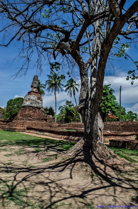 Ayutthaya, Thailand