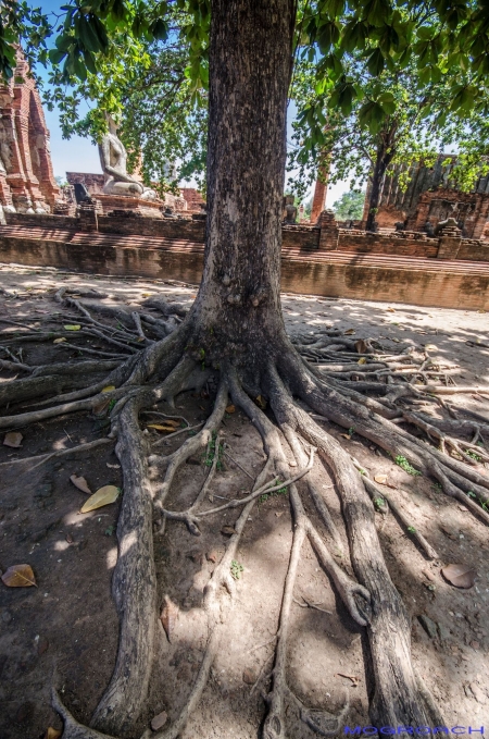 Ayutthaya, Thailand