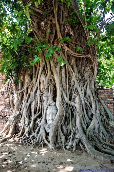 Ayutthaya, Thailand