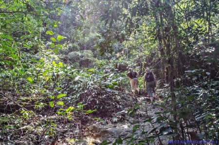 Koh Chang, Thailand