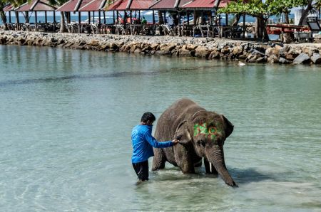 Koh Chang