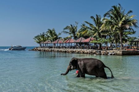 Koh Chang