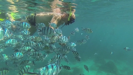 Snorkeling