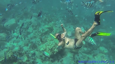 Snorkeling