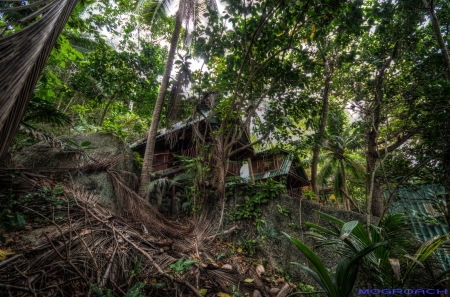 Thailand, Koh Phangan