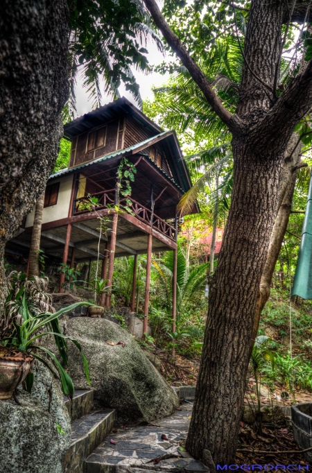 Thailand, Koh Phangan