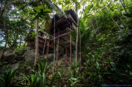 Thailand, Koh Phangan