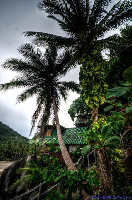 Thailand, Koh Phangan