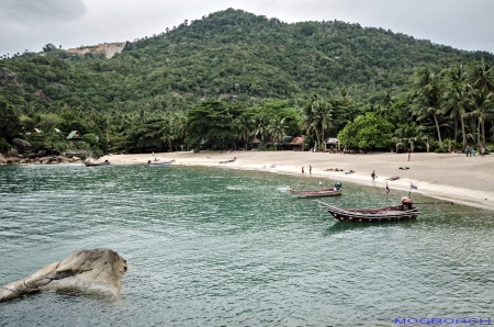 Thailand, Koh Phangan