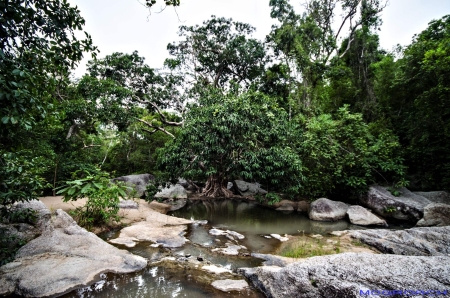 Thailand, Koh Phangan