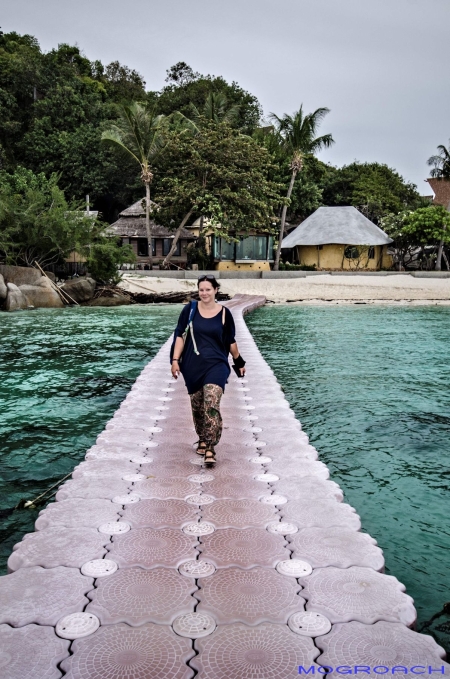 Thailand, Koh Phangan