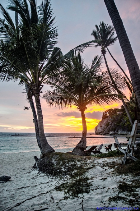 Thailand, Koh Phangan