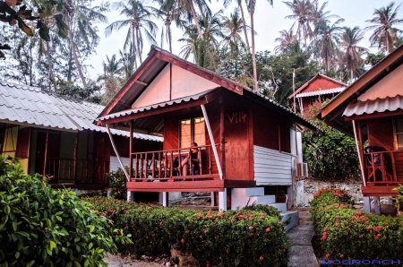 Thailand, Koh Phangan