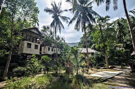 Thailand, Koh Phangan