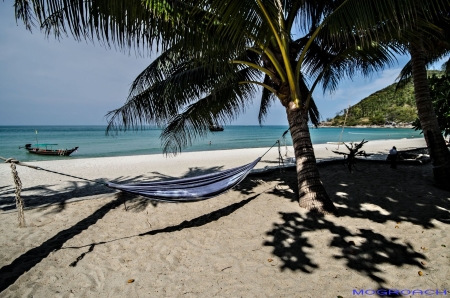 Thailand, Koh Phangan