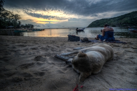 Thailand, Koh Phangan