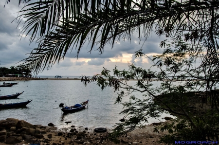 Thailand, Koh Phangan