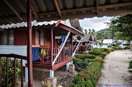 Thailand, Koh Phangan