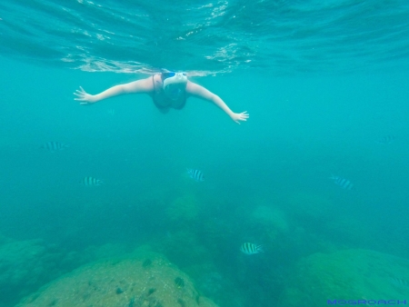 Thailand, Koh Phangan