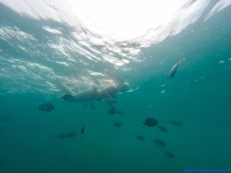 Thailand, Koh Phangan