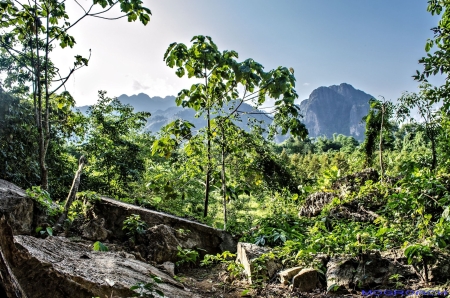 Laos