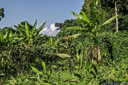 Laos